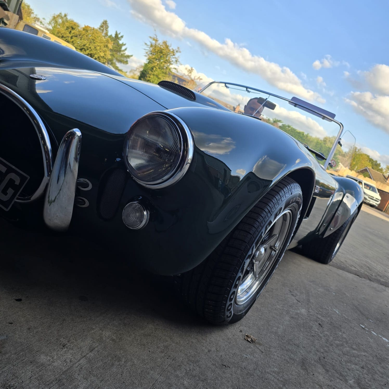 DAX Cobra custom audio installation with JL Audio and Alpine amp