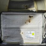 vw-t6-heated-seat-repair-caravelle-element-replacement